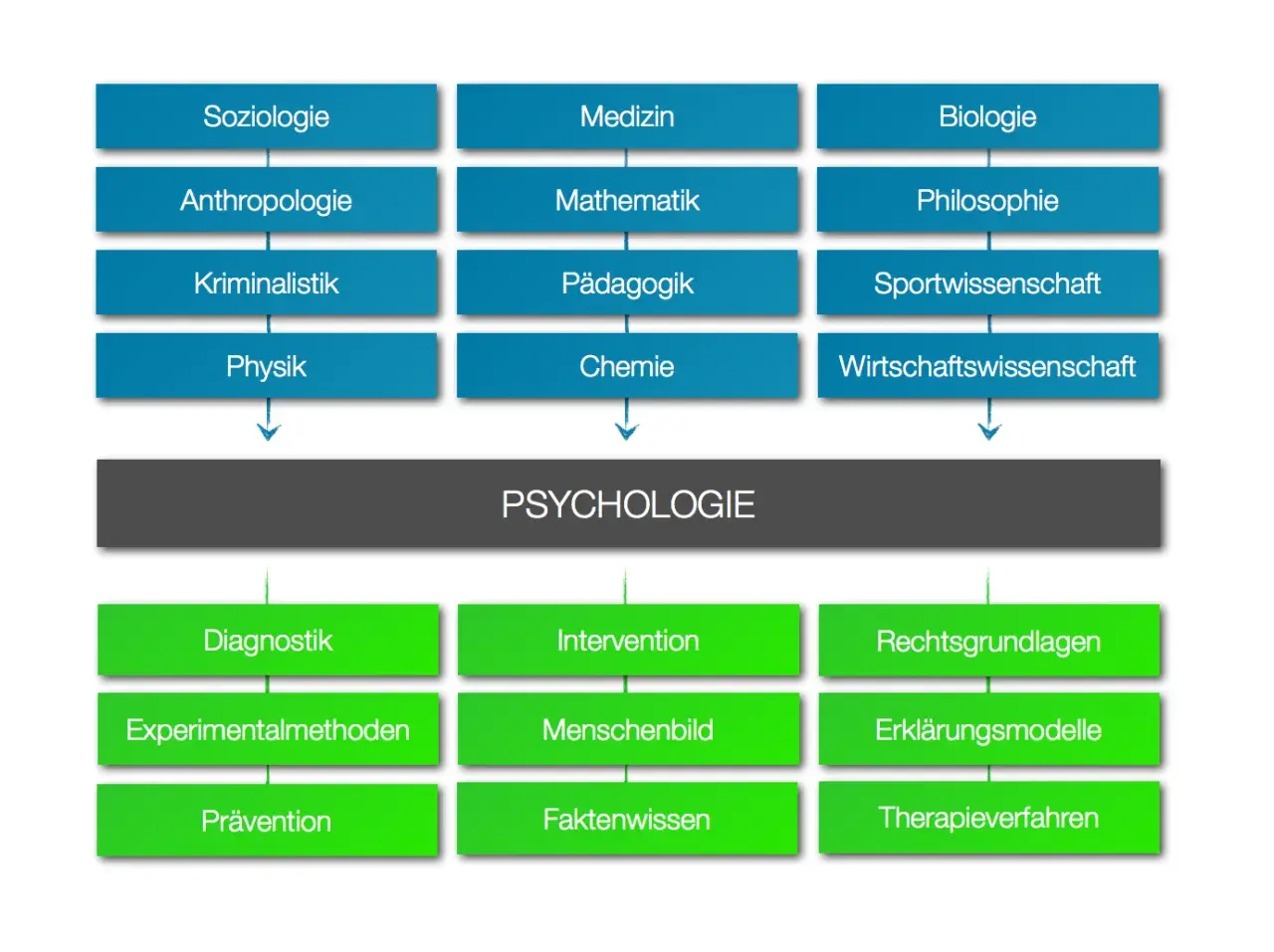 Diagramm zeigt, wie verschiedene Disziplinen wie Soziologie, Medizin und Biologie zur Psychologie beitragen. Darunter sind Anwendungsbereiche wie Diagnostik und Intervention aufgeführt.