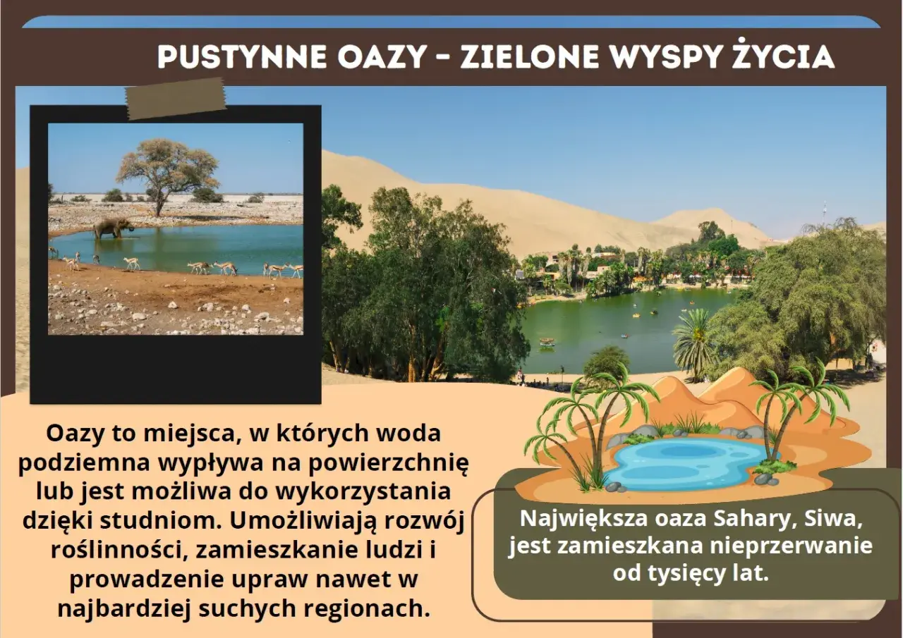 Oazy, zielone wyspy życia na pustyniach świata, oferują wodę i schronienie. Na zdjęciu widać zwierzęta pijące wodę i bujną roślinność.