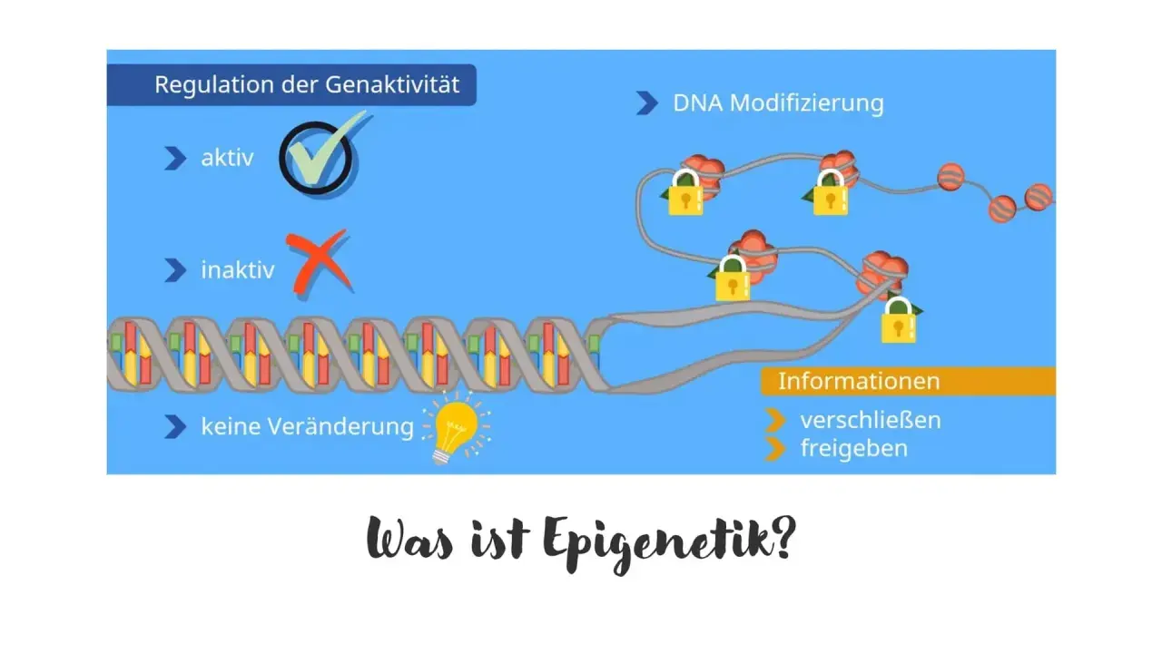 Die Epigenetik erklärt, wie DNA-Modifikationen die Genaktivität regulieren. Schlösser symbolisieren das Verschließen oder Freigeben von Informationen.