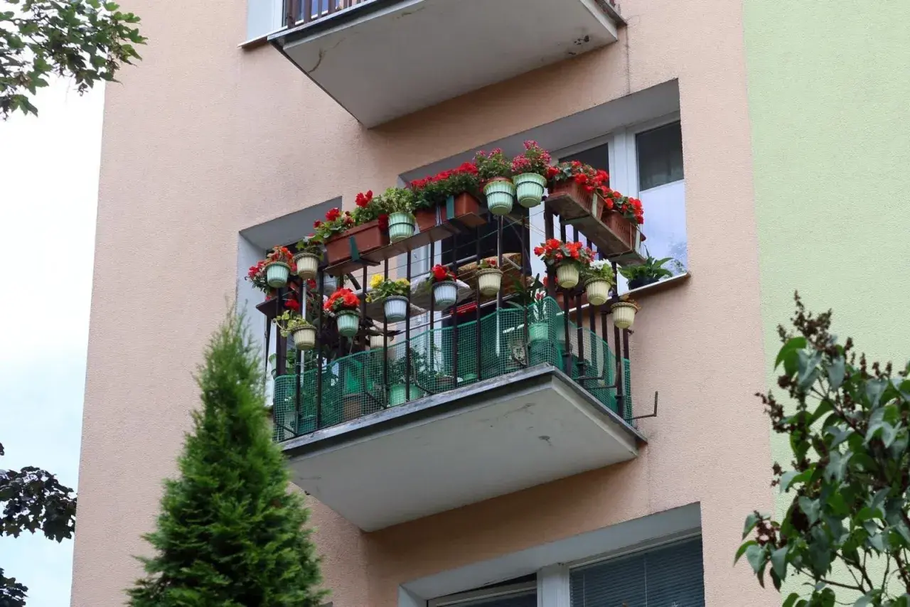 Kwiaty na balkonie z wielkiej płyty. Czy to odzwierciedla prawdziwe koszty dobudowy zewnętrznych balkonów do bloków z wielkiej płyty?