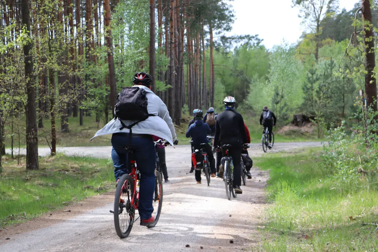Grupa rowerzystów w lesie. Słońce przebija się przez drzewa, a ścieżka jest piaszczysta. To świetny sposób na spalenie puste kalorie i cieszenie się naturą.