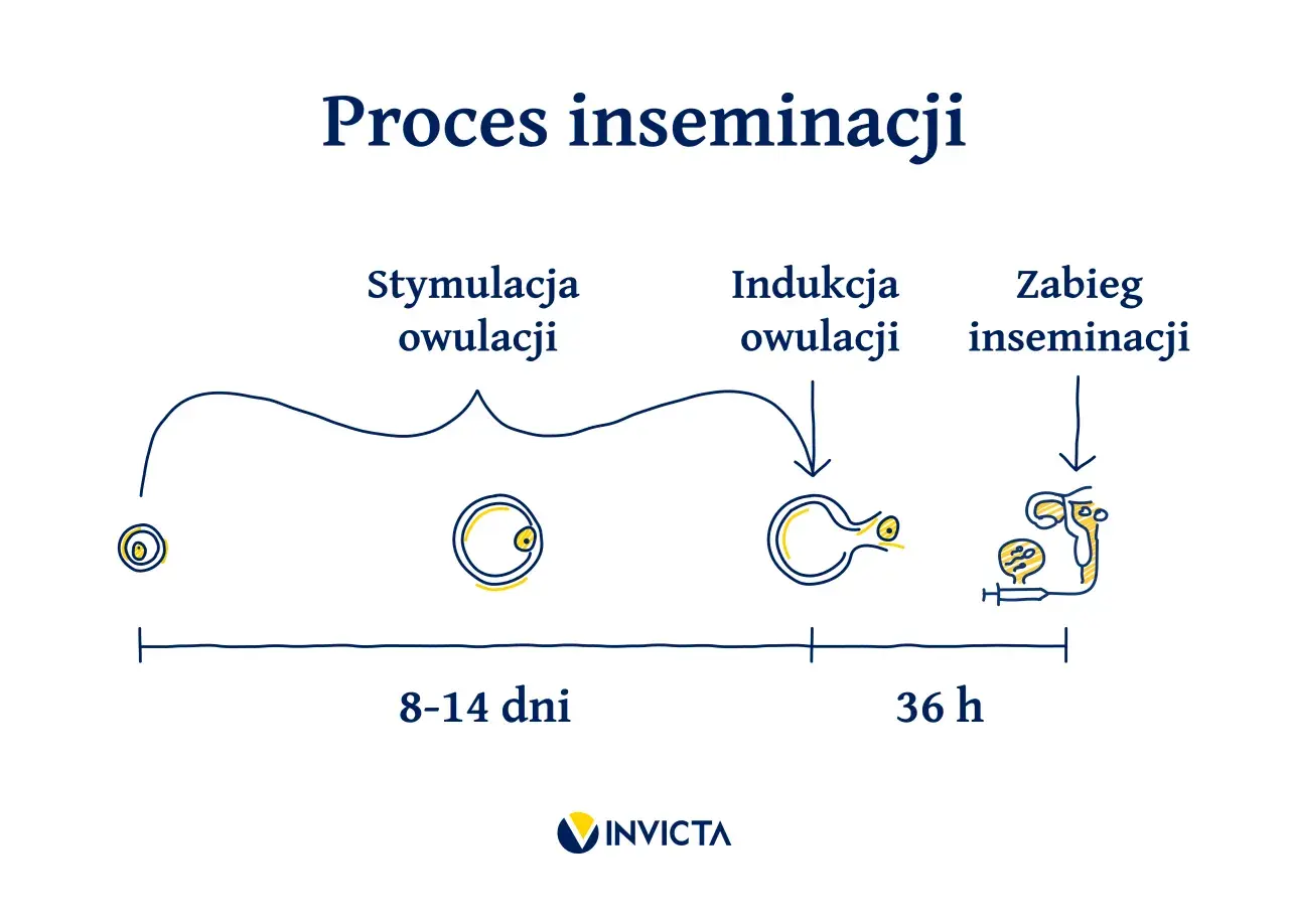 Schemat procesu inseminacji: od stymulacji owulacji (8-14 dni), przez indukcję owulacji, do zabiegu inseminacji (36 h).
