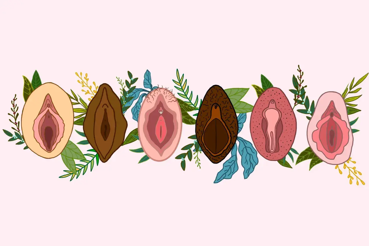 Ilustracja przedstawia siedem różnych warg sromowych, otoczonych liśćmi i gałązkami. Wargi sromowe są w różnych odcieniach skóry i kształtach, symbolizując różnorodność. Niektóre mają delikatne włoski, inne są gładkie. Wizerunki te podkreślają naturaln...