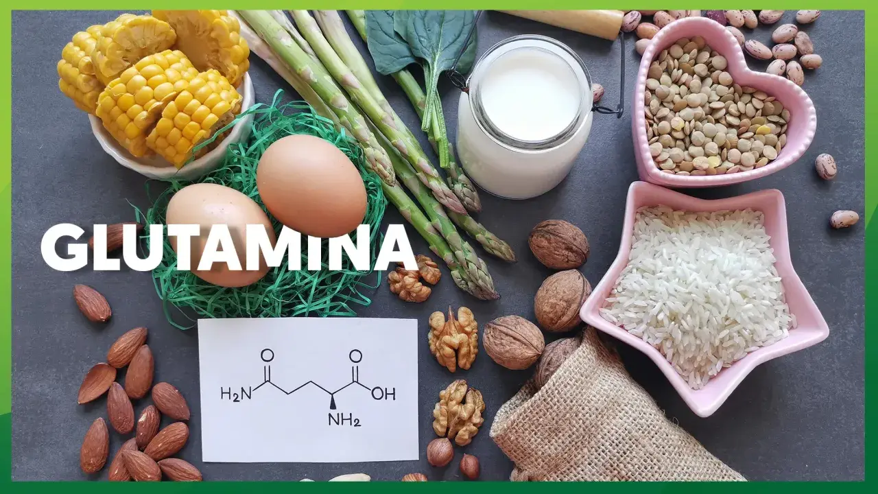 Glutamina co to? Obraz przedstawia produkty bogate w glutaminę: jajka, szparagi, mleko, orzechy, migdały, soczewicę, ryż, kukurydzę i fasolę.