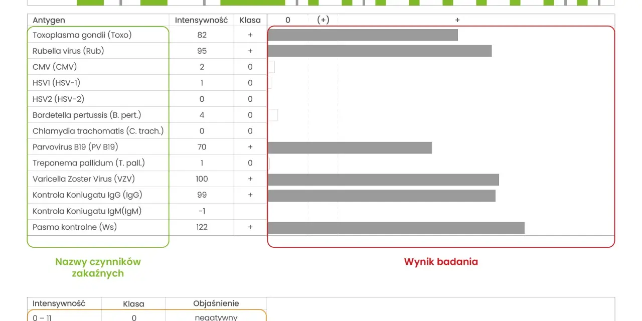 Wynik badania na obecność czynników zakaźnych, z zaznaczonymi wynikami dla Toxoplasma gondii i Rubelli. Intensywność reakcji jest jak **torch** światła.