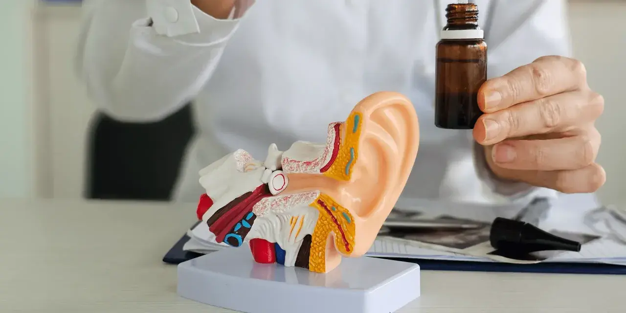 Lekarz pokazuje model ucha i krople, które mogą być antybiotykiem na zapalenie ucha.