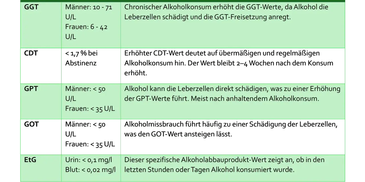 Tabelle zeigt Leberwerte (GGT, GPT, EtG) und deren Zusammenhang mit Alkoholkonsum. Wichtig für kontrolliertes Trinken und MPU.