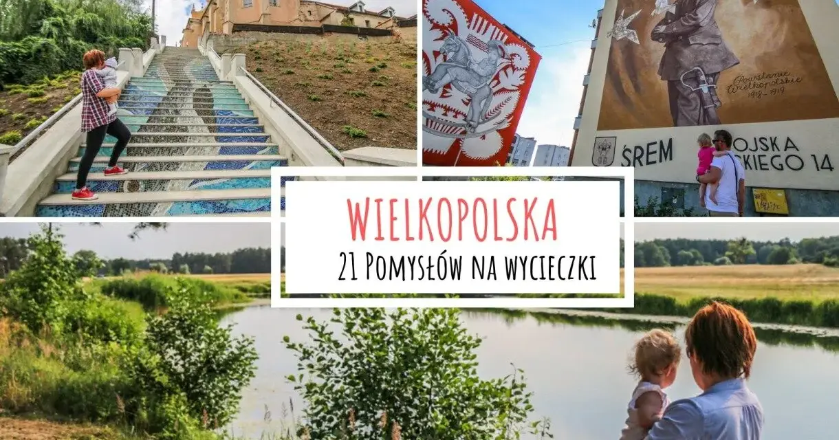 Wielkopolska: co zwiedzić? Odkryj skarby regionu z ekspertem!