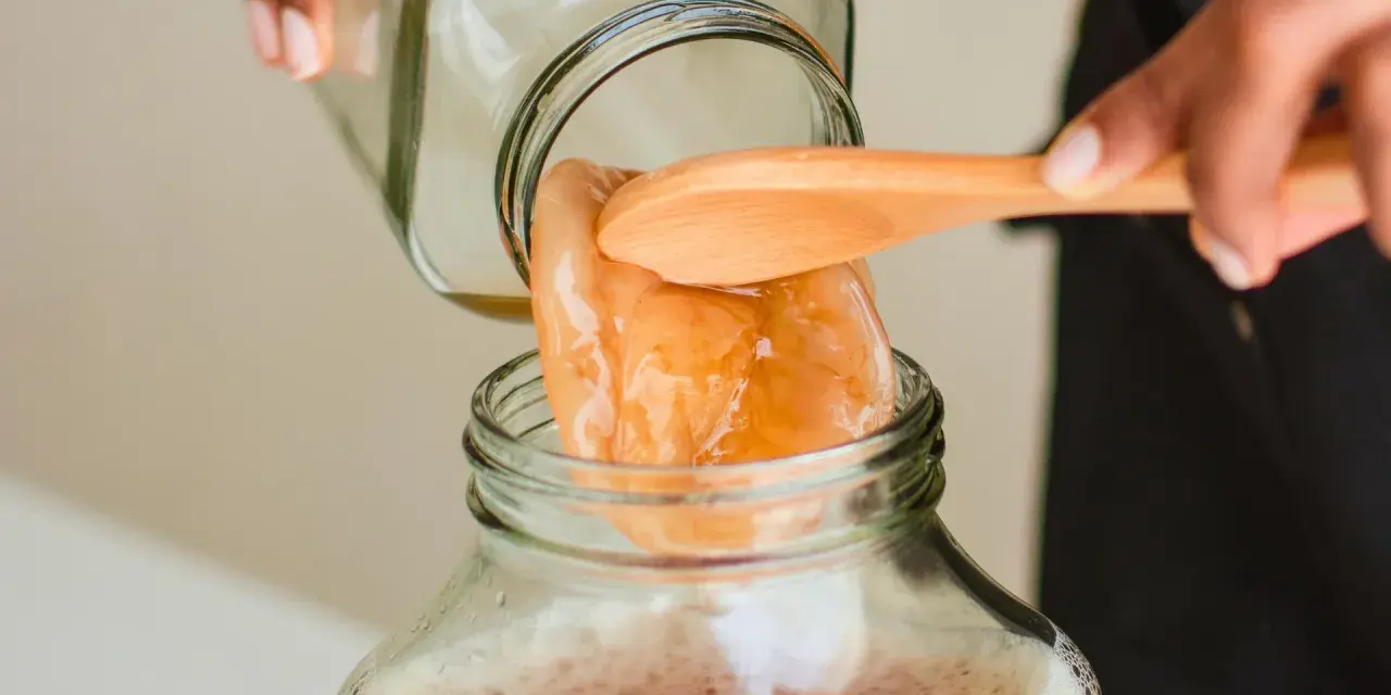 Une main dépose délicatement un scoby maison dans un bocal rempli de liquide pétillant.