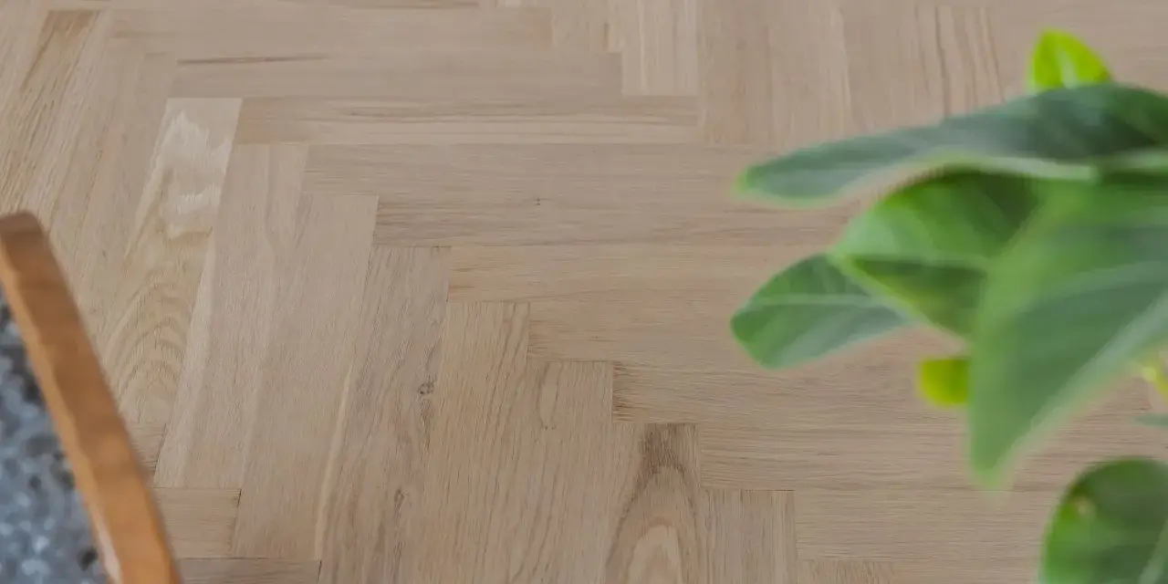 Ett nyslipat parkettgolv i fiskbensmönster, redo att skyddas. En grön växt och en del av en stol syns i bild.