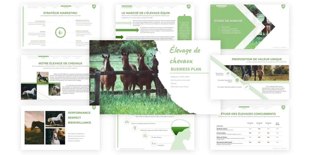 Présentation d'un plan d'affaires pour un élevage de chevaux, incluant des analyses de marché, des stratégies marketing et une proposition de valeur unique.
