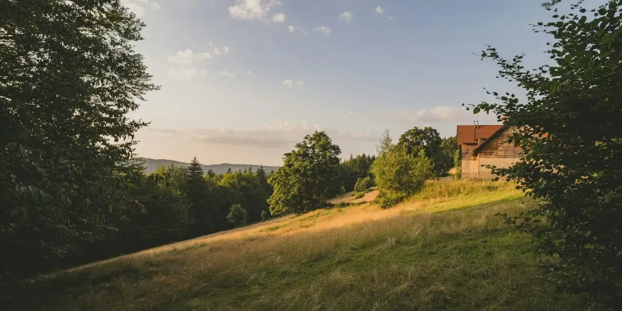Słoneczny stok z domkiem w lesie. Zastanawiasz się, ile kosztuje ar działki budowlanej w takim miejscu?