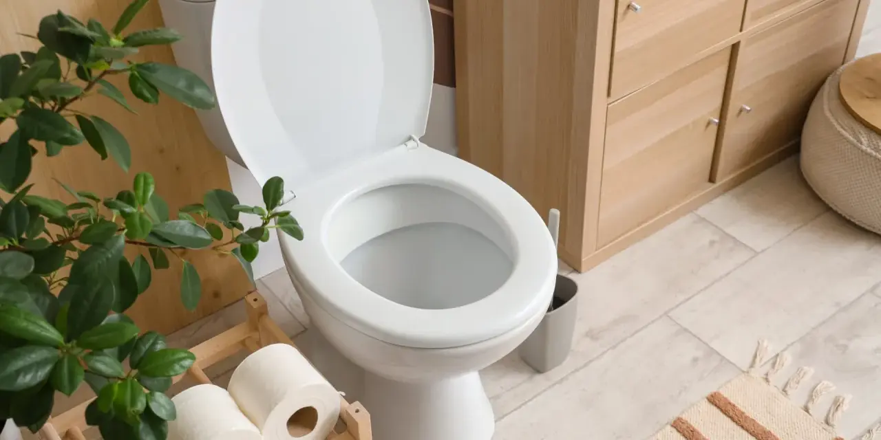 Toilettes blanches avec couvercle ouvert, rouleaux de papier toilette sur un support en bois, plante verte et meuble de rangement en bois. La largeur du WC est standard.