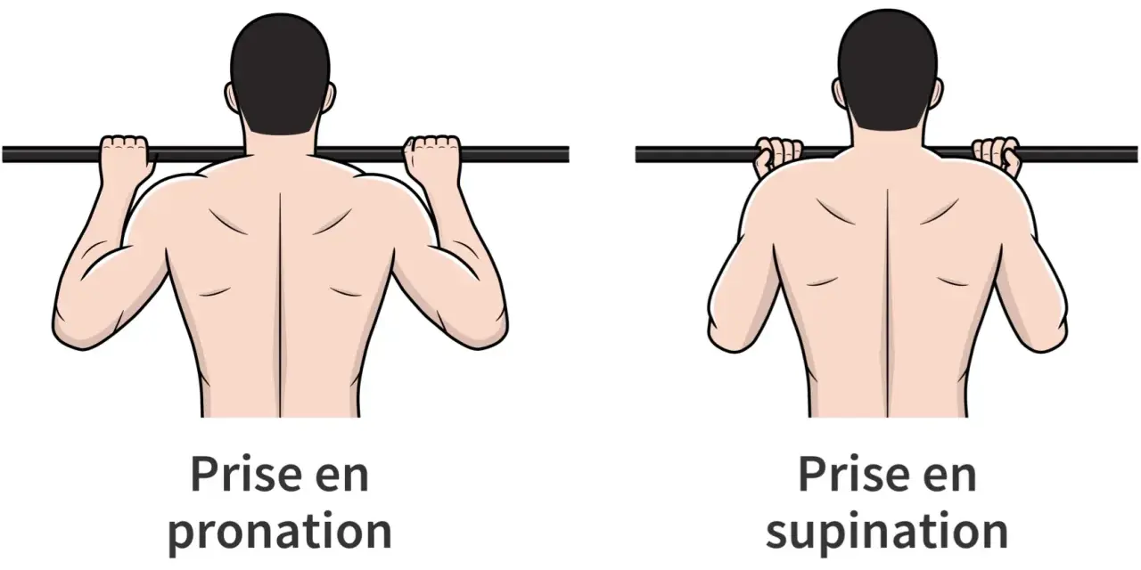 Comparaison de la prise en pronation et de la prise en supination pour un exercice de traction.