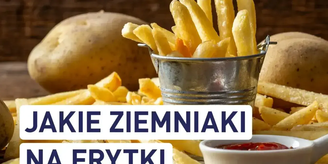 Złociste frytki w metalowym wiaderku i surowe ziemniaki na drewnianym stole. Pytanie brzmi: jakie ziemniaki na frytki?