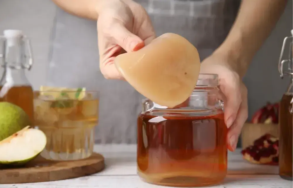 Kombucha: Jak wyhodować domową kulturę SCOBY krok po kroku