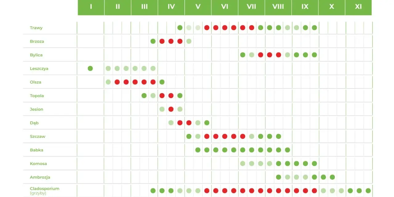 Kalendarz pylenia roślin w Polsce. W lipcu intensywnie pylą trawy, bylica, ambrozja i grzyby Cladosporium, co pyli w lipcu.