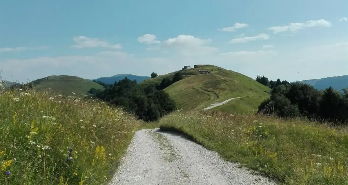 Sentiero sterrato sale verso la malga Garda, tra prati fioriti e dolci colline verdi sotto un cielo azzurro.