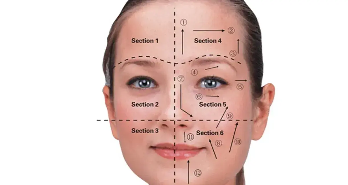 Guía de secciones y flechas para el drenaje linfático facial.