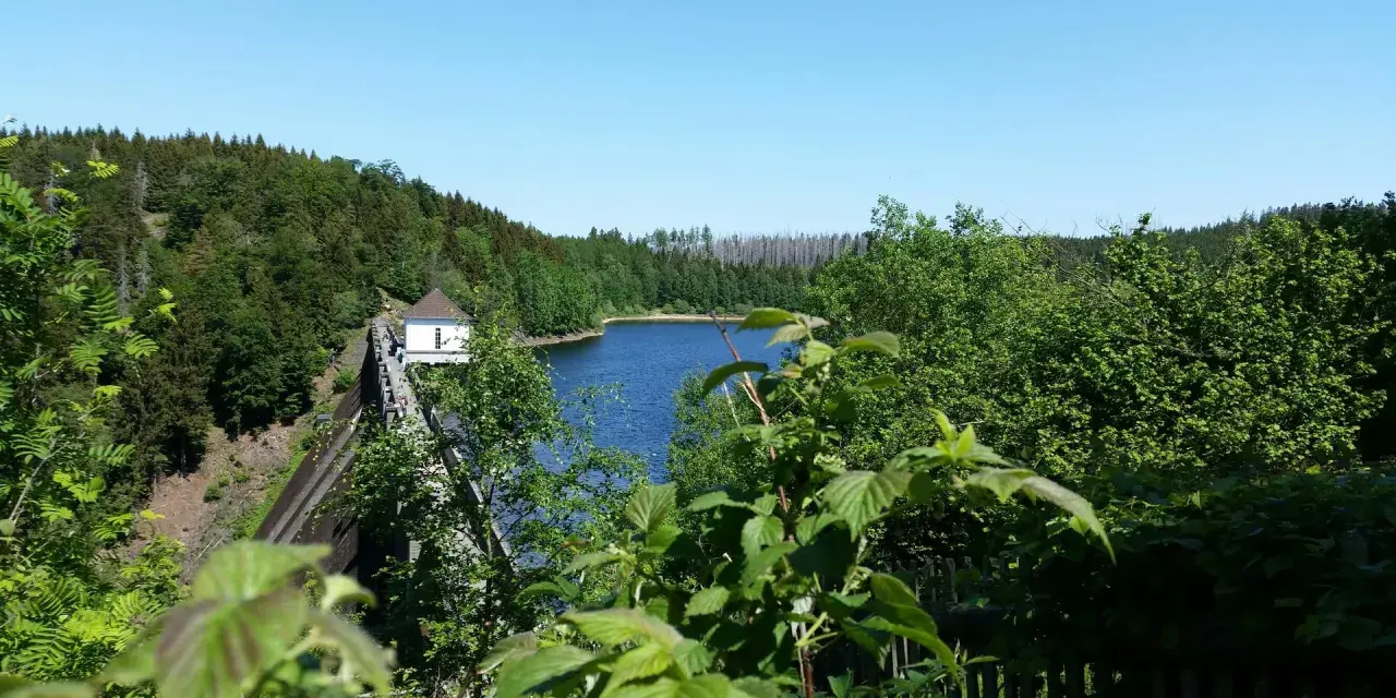 Idyllische Badeseen in Sachsen-Anhalt: Ein Stausee mit Damm und kleinem Haus, umgeben von grünen Wäldern unter blauem Himmel.
