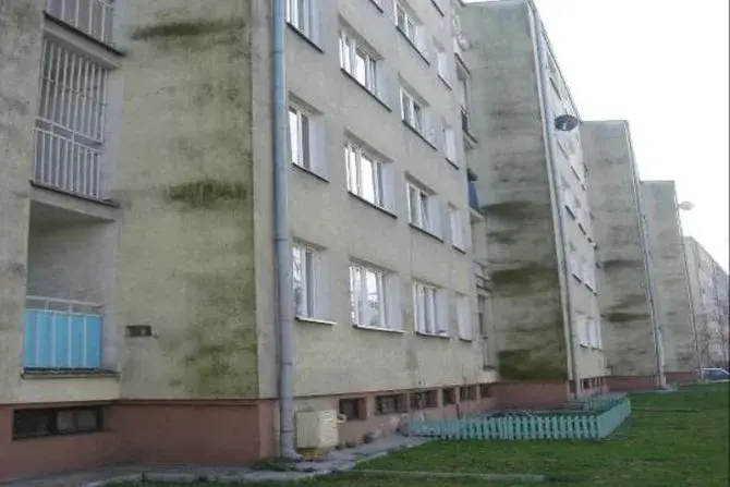 Dlaczego elewacja zielenieje? Odkryj przyczyny i skutki zanieczyszczeń