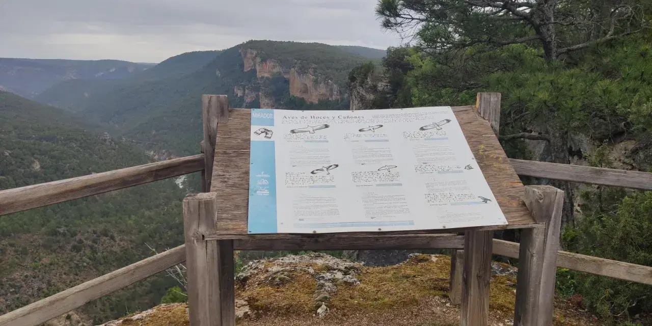 Mirador en el **zaorejas alto tajo**, con panel informativo sobre aves de hoces y cañones. Paisaje de montañas verdes y cielo nublado.