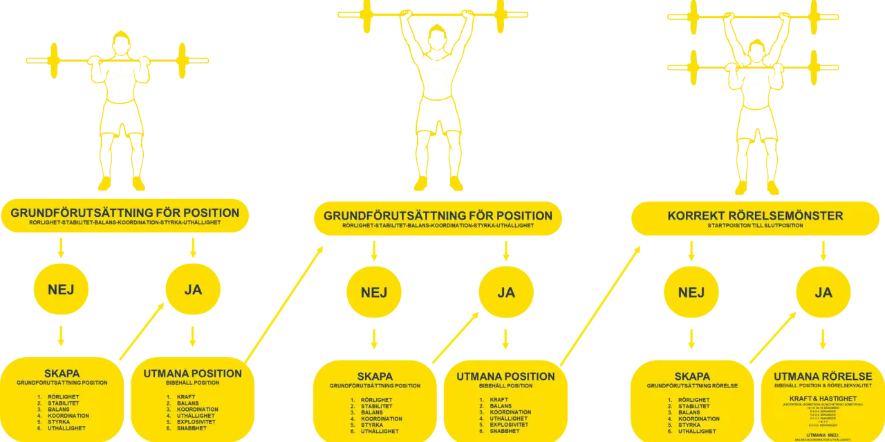 Diagram som visar hur man bygger dynamisk styrka genom att utvärdera grundförutsättningar och utmana positioner.