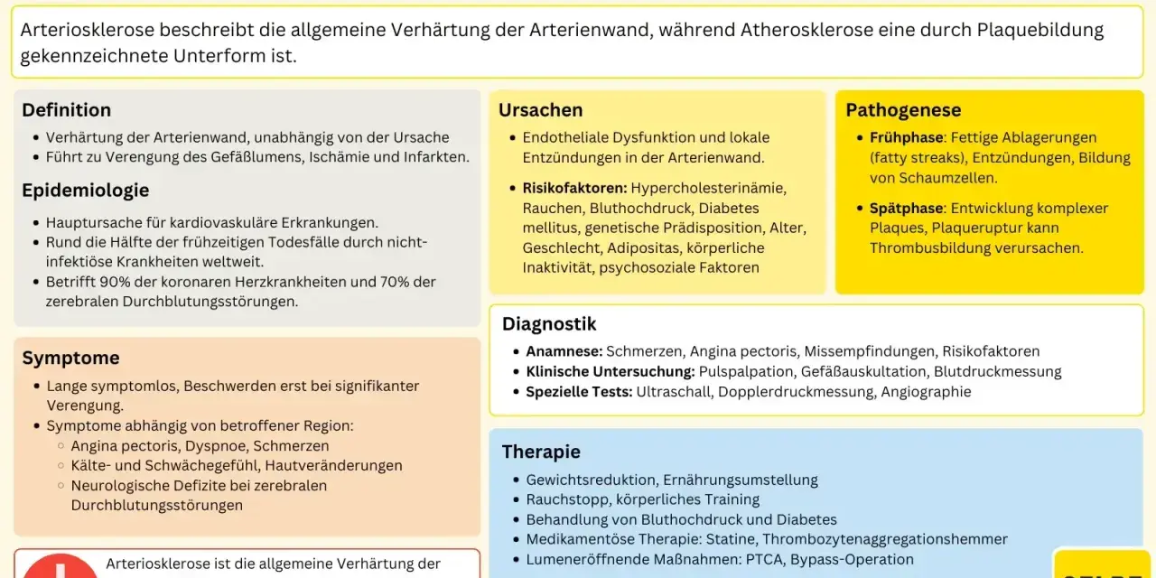 Arteriosklerose: Verhärtung der Arterienwand, beeinflusst die Lebenserwartung. Risikofaktoren wie Bluthochdruck und Rauchen sind zentral.