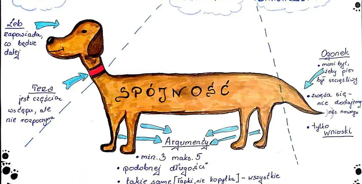 Schemat rozprawki w formie psa: głowa to wstęp, tułów to rozwinięcie ze spójnością i argumentami, a ogon to zakończenie.