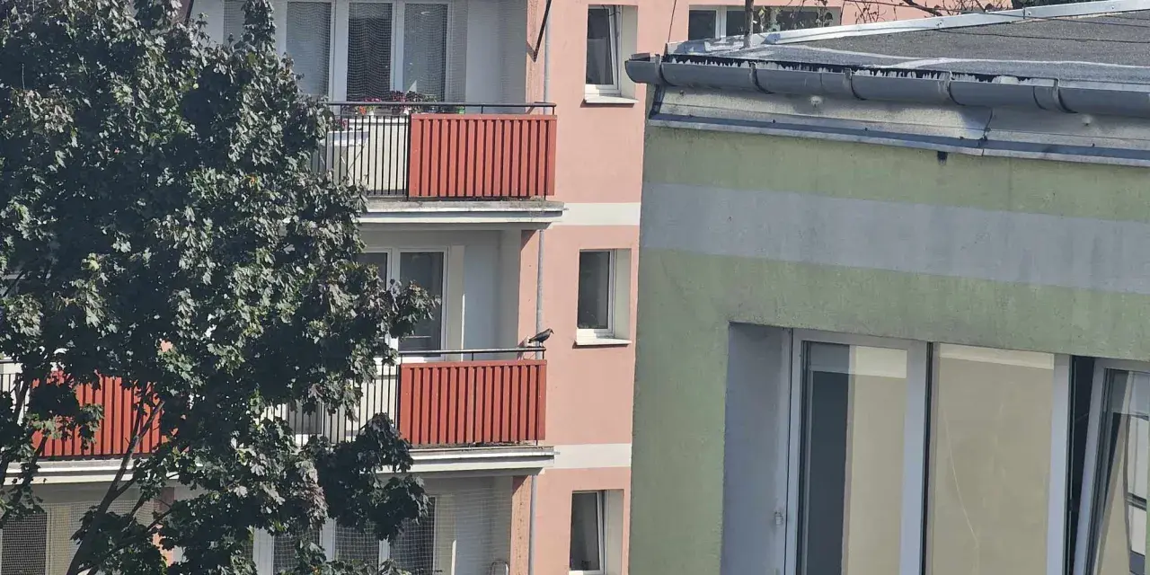 Ptak na balkonie bloku. Czy nowe przepisy o balkonach i tarasach podniosą opłaty na fundusz remontowy?