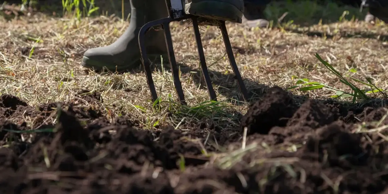 Osoba w gumowcach spulchnia widoczną na pierwszym planie glebę gliniastą za pomocą wideł.