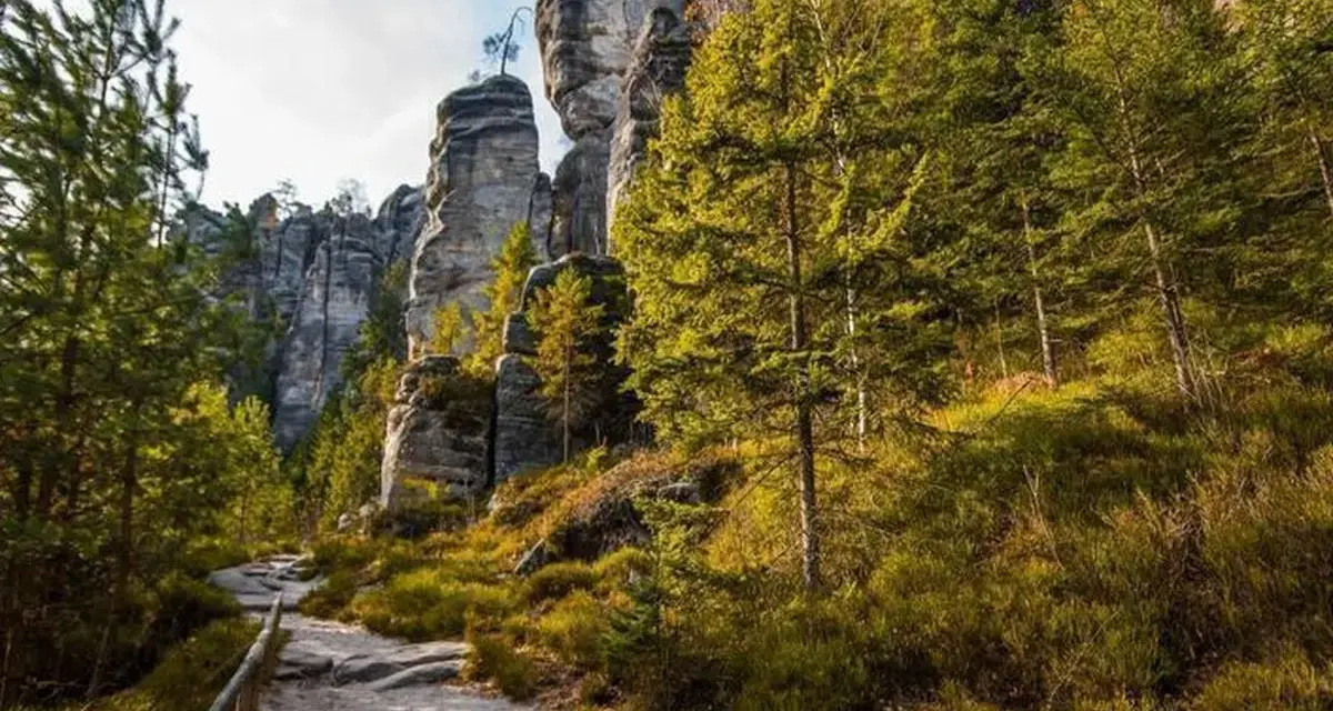 Kamienista ścieżka prowadzi przez skalne miasto w Czechach, otoczone gęstym lasem iglastym i wysokimi, strzelistymi formacjami skalnymi.