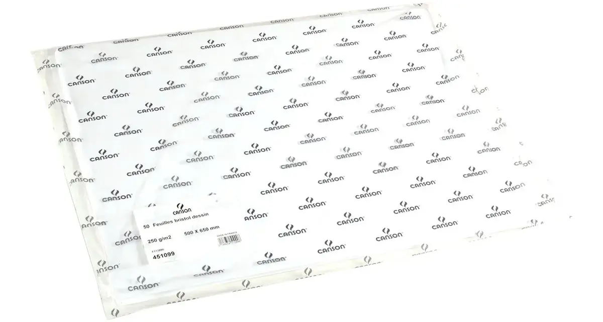 Un paquet de 50 feuilles de papier bristol Canson, idéal pour le dessin. Ce papier de 250 g/m² est prêt pour toute utilisation créative.