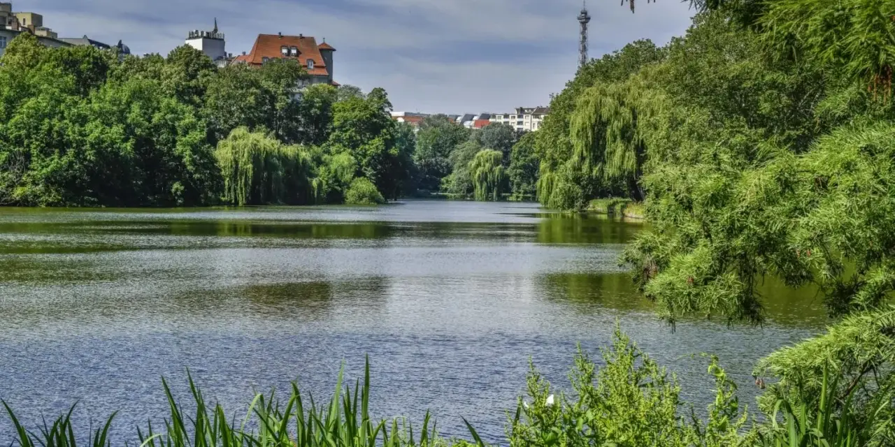Grüne Ufer und ein ruhiger See am Lietzensee Berlin. Im Hintergrund ragen Gebäude und ein Fernsehturm auf.