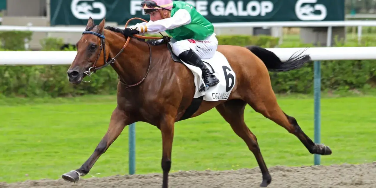 Un jockey en tenue verte et rose monte un cheval brun portant le numéro 6, "DEUVILLE", sur la piste. Le dp poney est en pleine course.