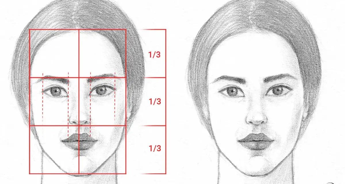 Visage femme dessin : une étude comparative montrant les proportions idéales d'un visage féminin, avec des guides de tiers.
