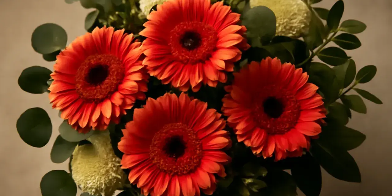 En bukett med lysande orange gerbera blomma, omgiven av gröna blad och fluffiga vita blommor.