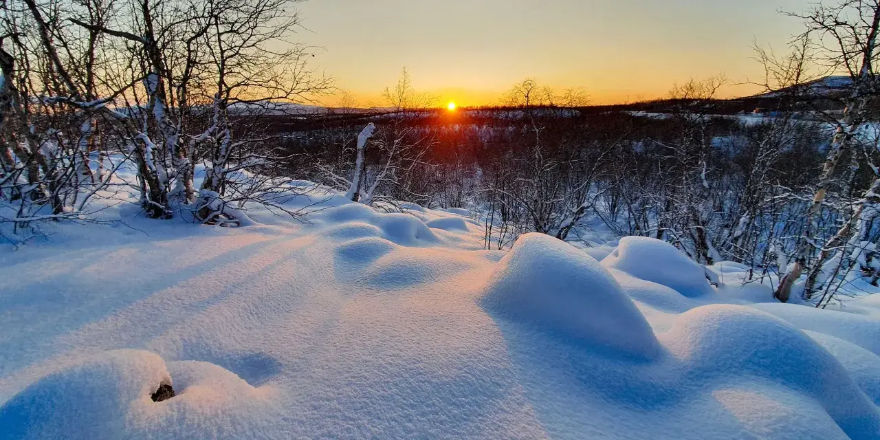 Snöklädda kullar och träd i solnedgångens gyllene ljus. En bilduppgift vinter som fångar den magiska stämningen i norra Sverige.