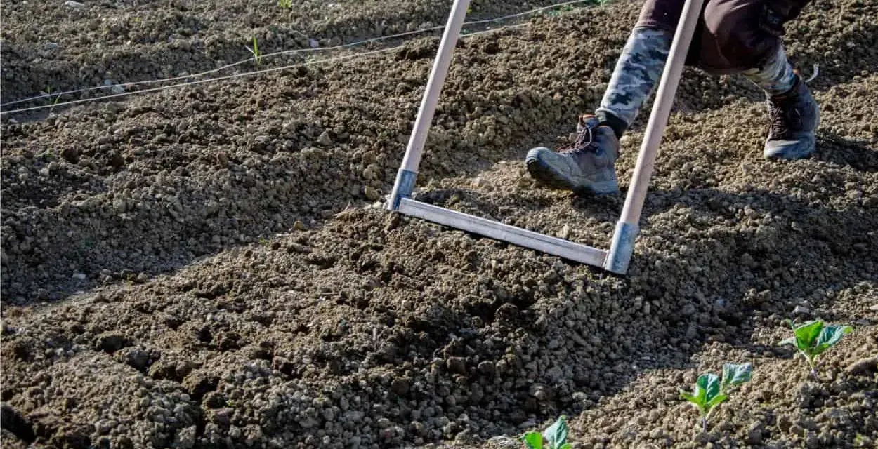 Persona che lavora il terreno con un rastrello, preparando l'orto per la semina.