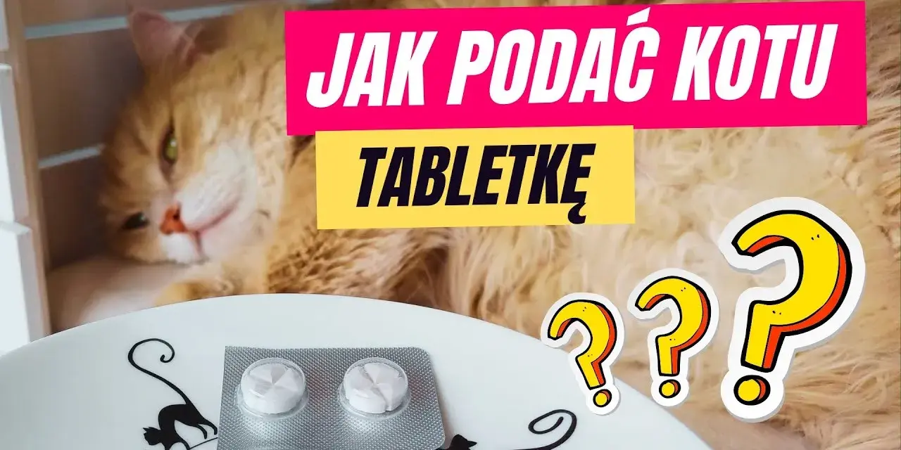 Jak podać kotu tabletkę na odrobaczanie bez stresu i problemów
