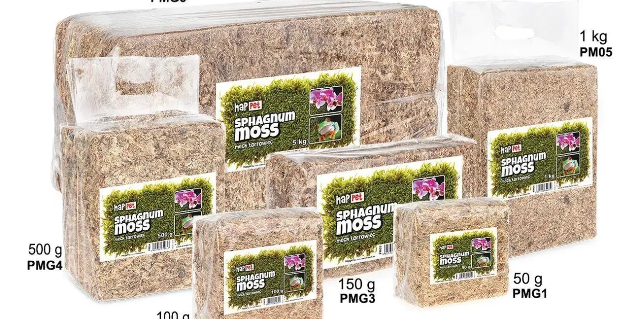 Różne opakowania mchu sphagnum. Dowiedz się, jak używać mech sphagnum do storczyków i terrarium.