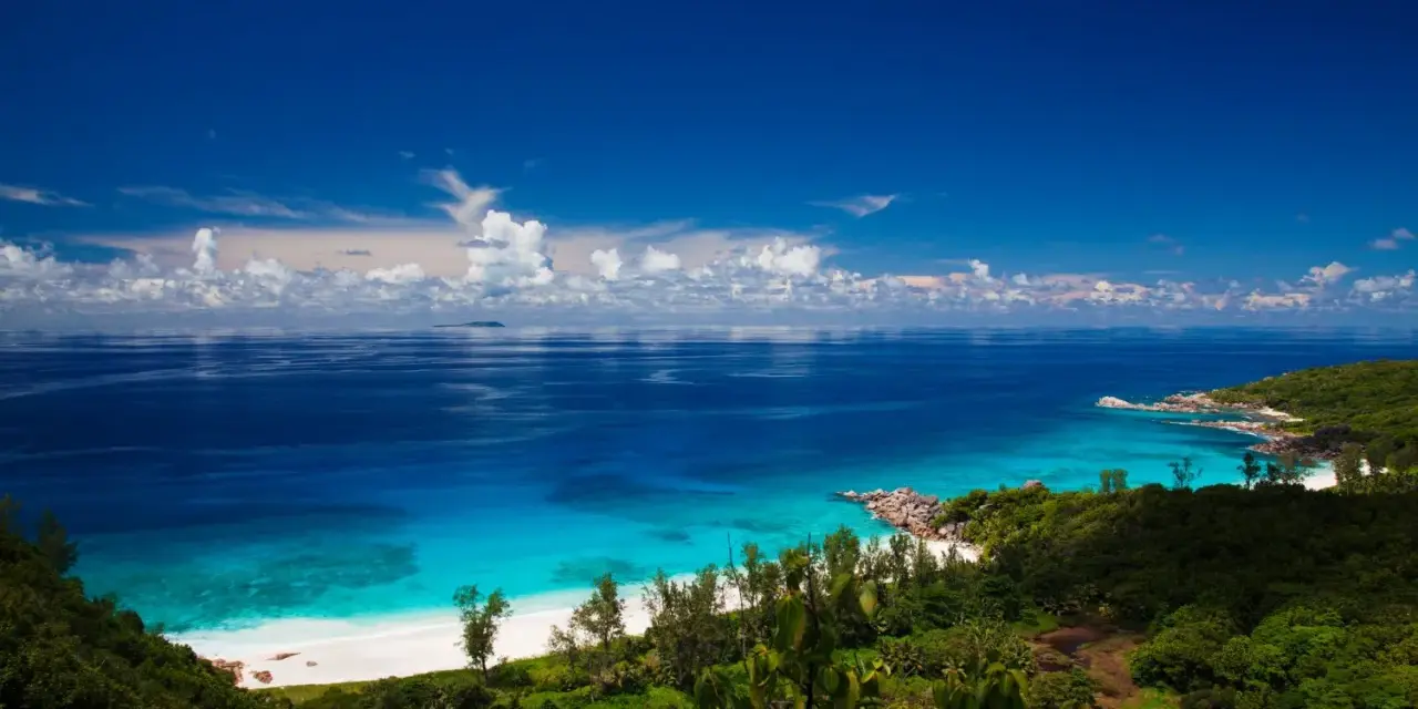 Zanzibar jaki ocean? Błękitne wody Oceanu Indyjskiego oblewają rajską plażę z białym piaskiem, otoczoną bujną zielenią.