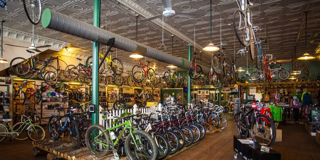A bike shop interior, showcasing a wide selection of bicycles, from road bikes to mountain bikes, offering advice on how to choose a mountain bike.