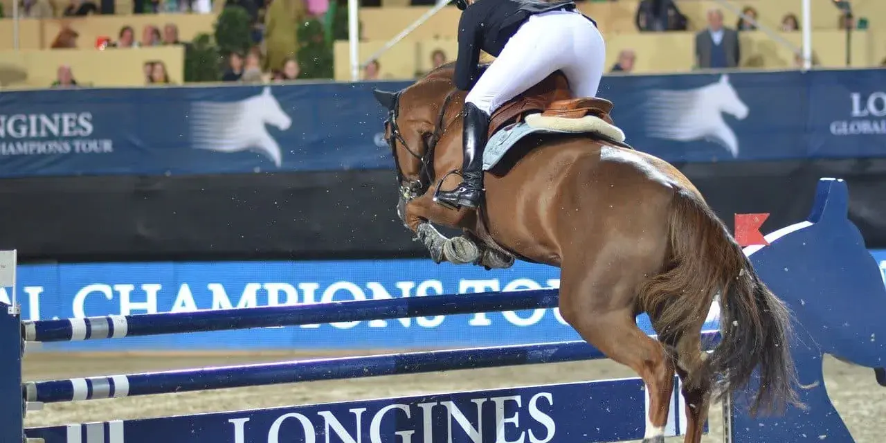 Un cavalier pro et son cheval brun franchissent un obstacle lors d'une compétition d'équitation.
