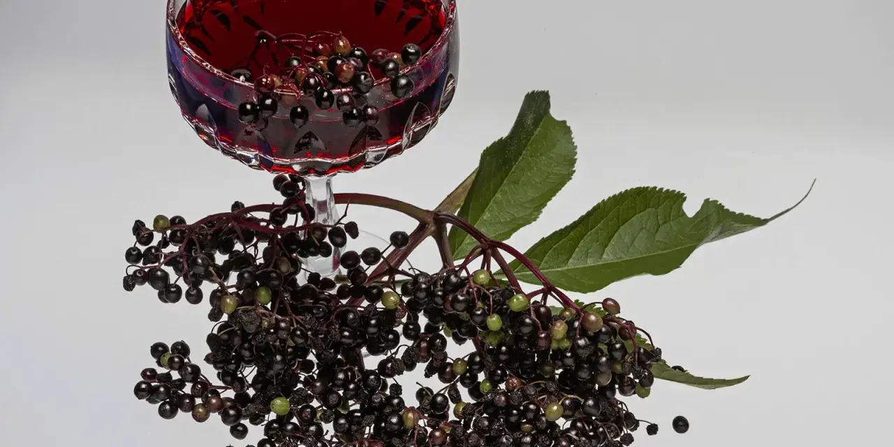 Ein Glas tiefroter Holunderschnaps mit Rum, daneben frische Holunderbeeren und Blätter.