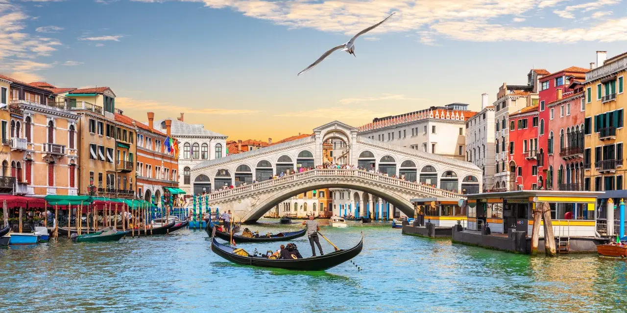 Gondole scivolano sui **canaletti di Venezia**, sotto il Ponte di Rialto, con edifici colorati e un gabbiano in volo.