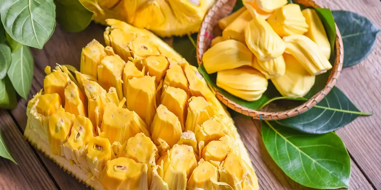 Chlebowiec właściwości: soczyste, żółte segmenty owocu jackfruit, częściowo wyjęte z łupiny i ułożone w koszyku, otoczone zielonymi liśćmi.