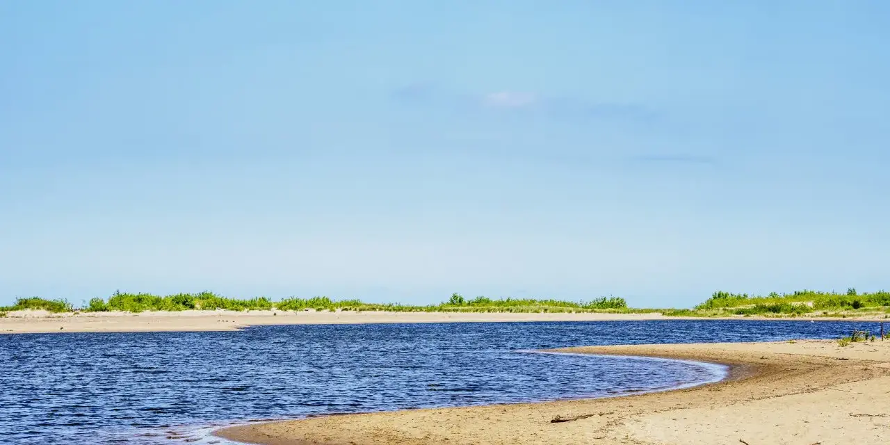 Szeroka, piaszczysta plaża i spokojne wody w miejscu, gdzie Wisła wpada do morza. Zielone zarośla na horyzoncie.