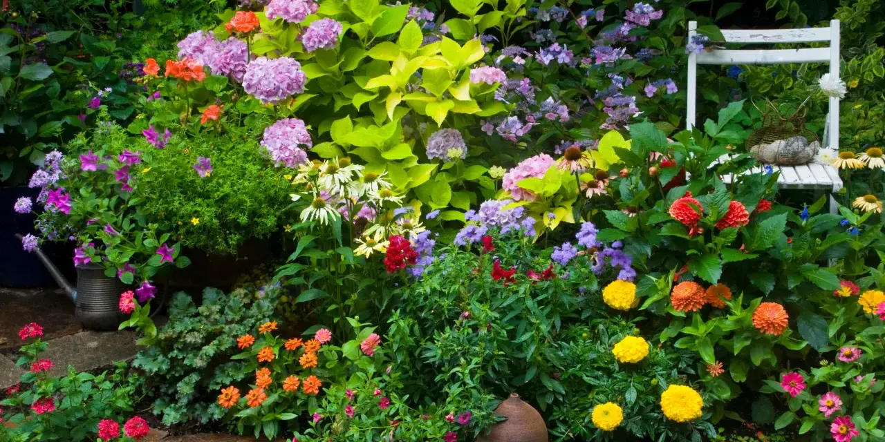 Jardín vibrante con **plantas de exterior resistentes** en tonos rosas, naranjas y morados. Una silla blanca y una regadera antigua añaden encanto.