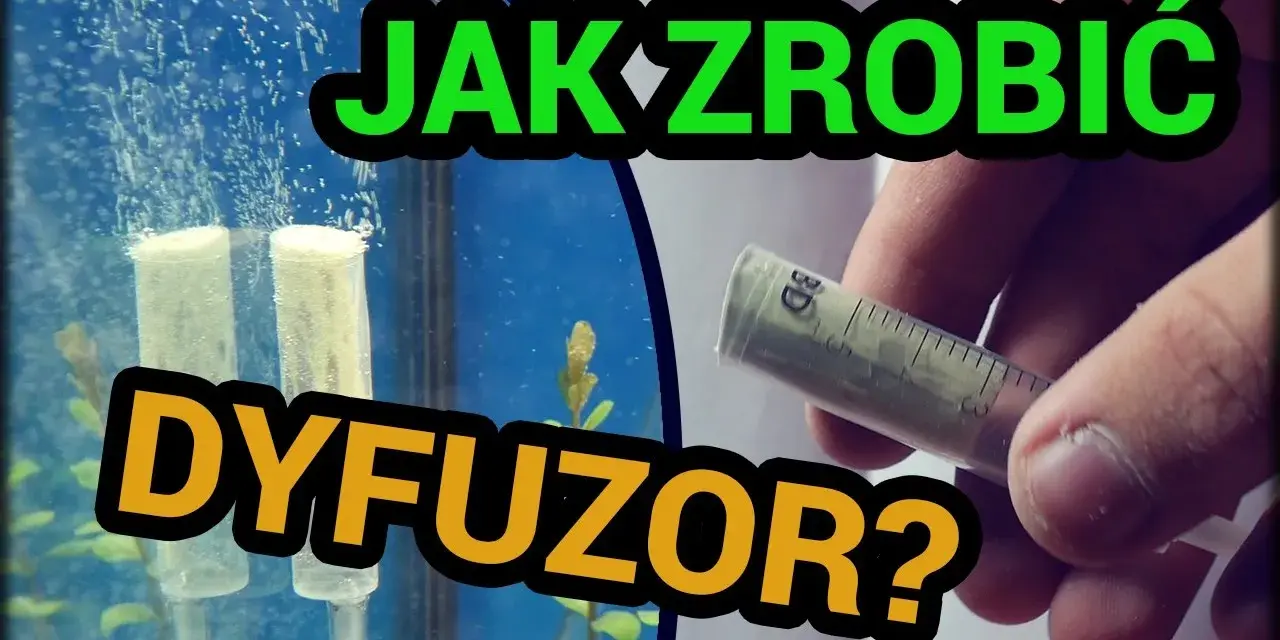 Jak zrobić dyfuzor do oczyszczalni i uniknąć kosztownych błędów